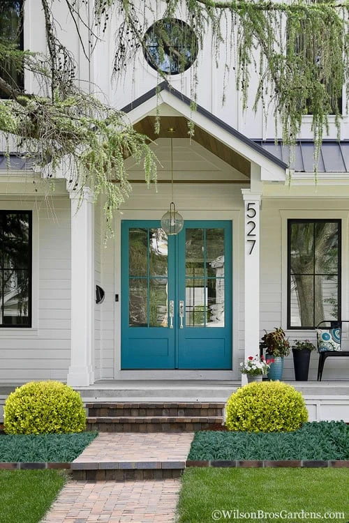 Golden Triumph Variegated Dwarf Boxwood - 6 Pack Of 1 Gallon Pots 5 Golden Triumph Variegated Dwarf Boxwood - 6 Pack Of 1 Gallon Pots - Image 5