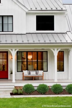 Korean Dwarf Boxwood - Buxus Sinica Var. Insularis 'Nana' - 6 Pack Of 1 Gallon Pots 9 Korean Dwarf Boxwood - Buxus Sinica Var. Insularis 'Nana' - 6 Pack Of 1 Gallon Pots -Best Bush Shop Boxwood Korean Dwarf Insularis Nana 4