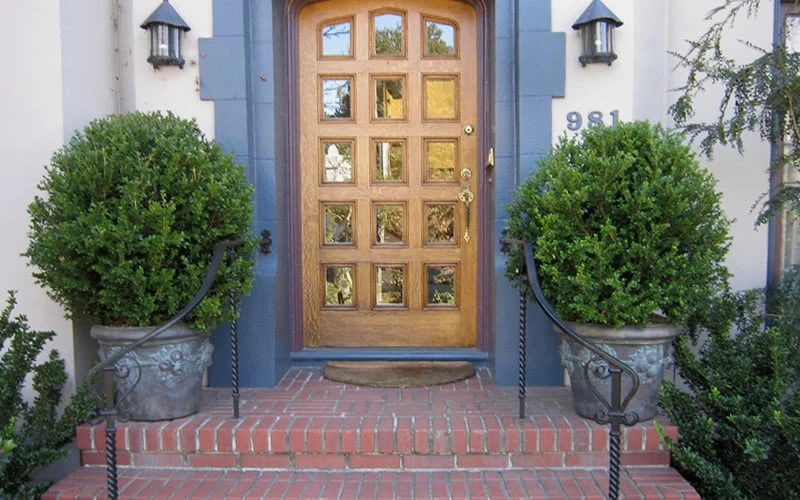 Wintergreen Boxwood - 3 Gallon Pot 5 Wintergreen Boxwood - 3 Gallon Pot - Image 5