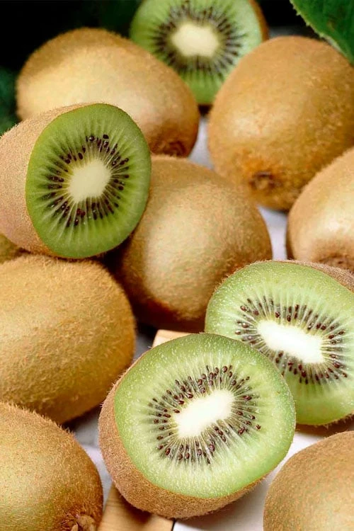 Jenny Self-Fertile Kiwi Vine - Quart Pot 1 Jenny Self-Fertile Kiwi Vine - Quart Pot