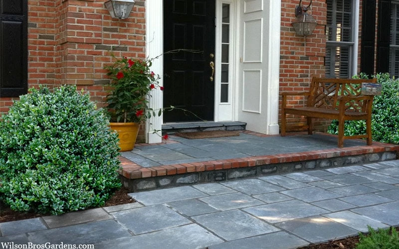 Gordo Boxwood - 5 Pack Of Quart Pots 6 Gordo Boxwood - 5 Pack Of Quart Pots - Image 6