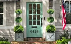 Green Mountain Boxwood 3-Ball Poodle Tier Topiary - 6 Gallon Pot 7 Green Mountain Boxwood 3-Ball Poodle Tier Topiary - 6 Gallon Pot -Best Bush Shop buxus green mountain 3 ball topiary 20