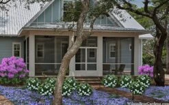 Snow Globe Gardenia - 3 Gallon Pot 11 Snow Globe Gardenia - 3 Gallon Pot -Best Bush Shop gardenia jasminoides snow globe 2