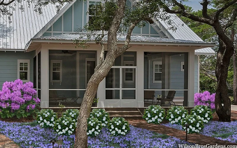 Snow Globe Gardenia - 3 Gallon Pot 6 Snow Globe Gardenia - 3 Gallon Pot - Image 6