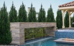 Spartan Juniper - 6 Pack Of 1 Gallon Pots -Best Bush Shop juniperus chinensis spartan columnar juniper 40