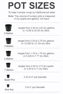 New Products -Best Bush Shop pot size chart 2022 653