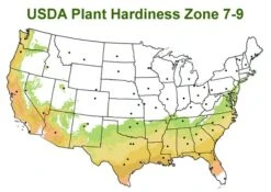 Chisato No Aki Camellia Japonica - 3 Gallon Pot 7 Chisato No Aki Camellia Japonica - 3 Gallon Pot -Best Bush Shop usda zone 7 9 map 600x425 1